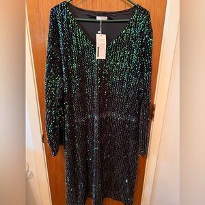 Plus Size 26W Blue and Green Sequin Dress